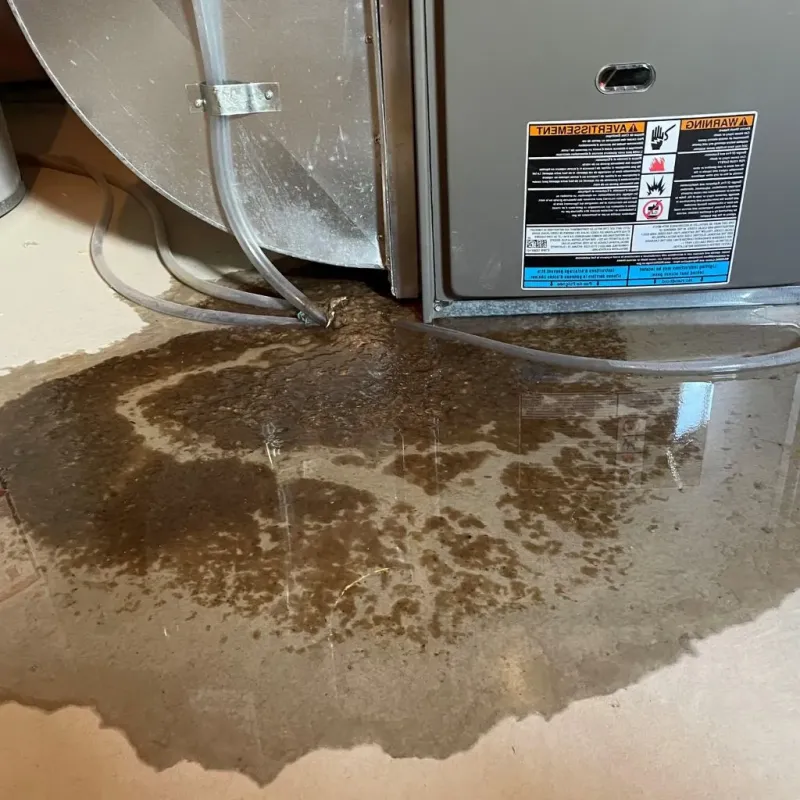 Pipe Burst and Leak Restoration in Cornwall, PA