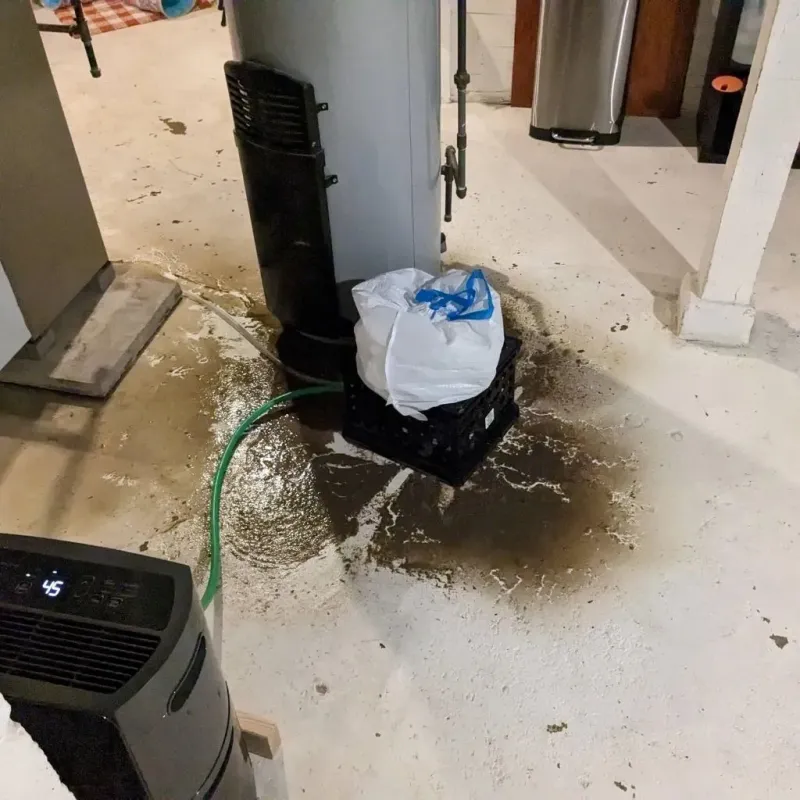 Sewage Backup Cleanup Service in Cornwall, PA
